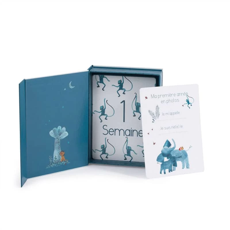 Cartes Mes 12 Premiers Mois Sous Mon Baobab (30 Cartes) Moulin Roty – Image 3