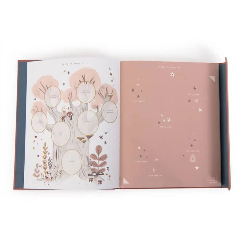 Livre De Naissance Après La Pluie (80 Pages) Moulin Roty – Image 2